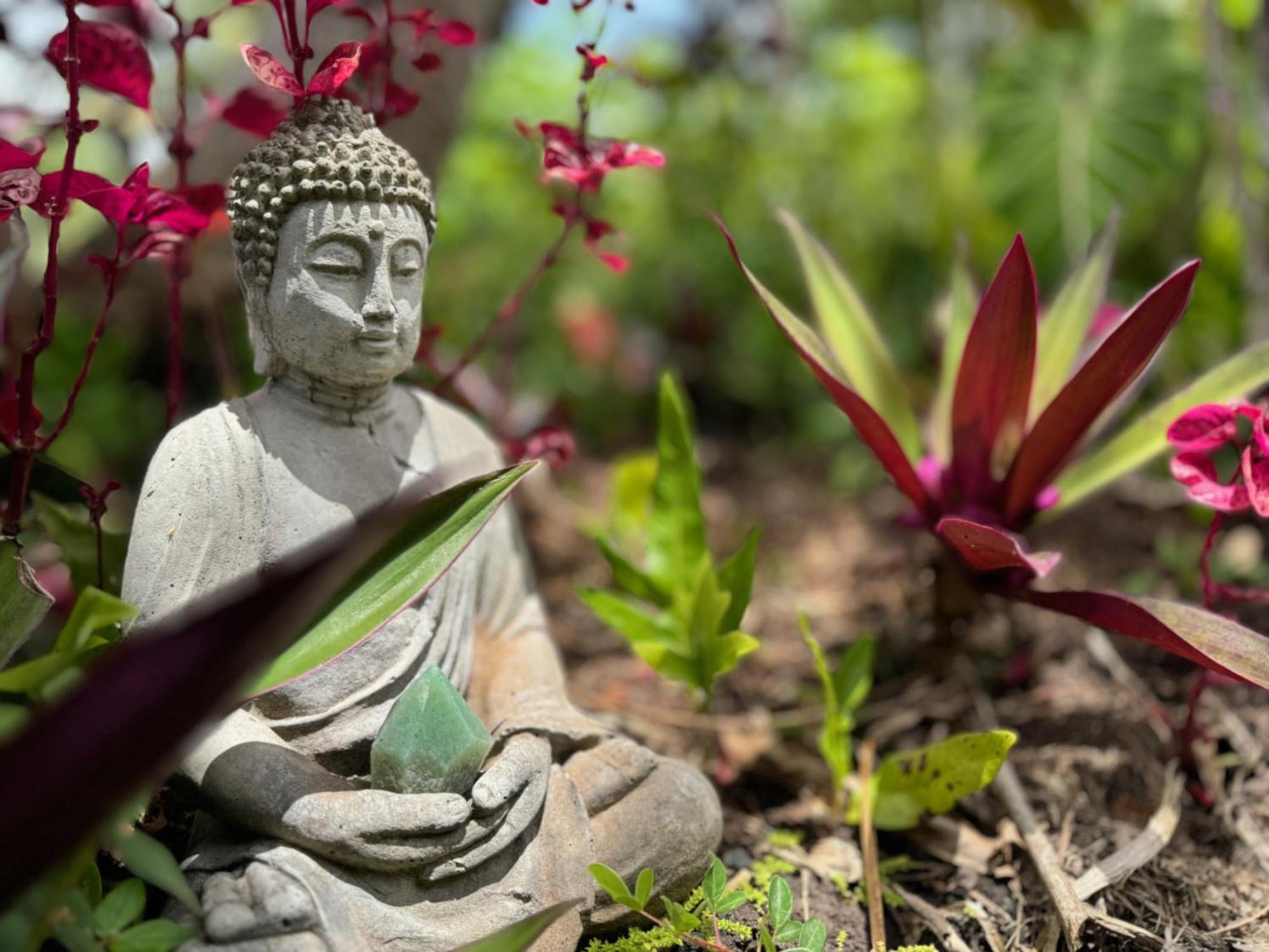 Tropical Zen Bungalow 파호아 외부 사진